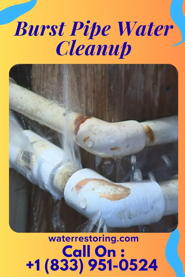 Burst Pipe Water Cleanup in Vista, MO