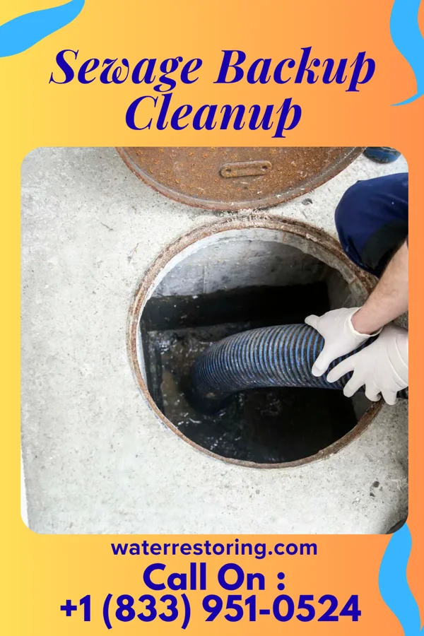 Sewage Backup Cleanup in Vista, MO